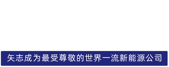 尊龙股份